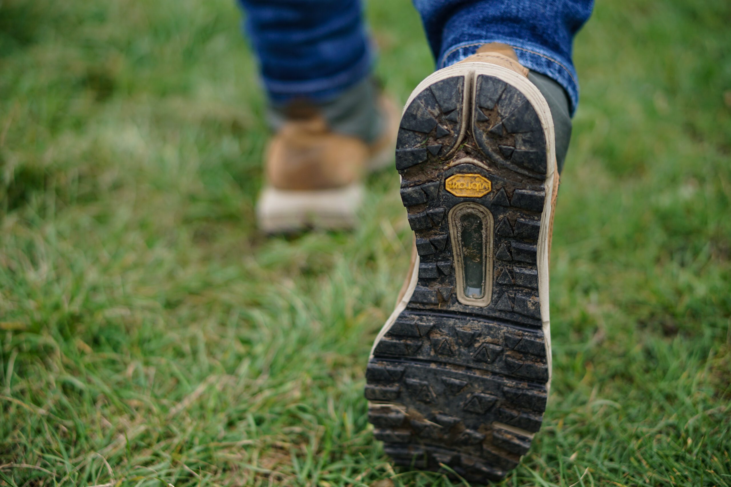 wandelschoenen